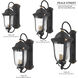 Peale Street 4 Light 28 inch Sand Coal And Vermeil Gold Outdoor Wall Mount, Great Outdoors